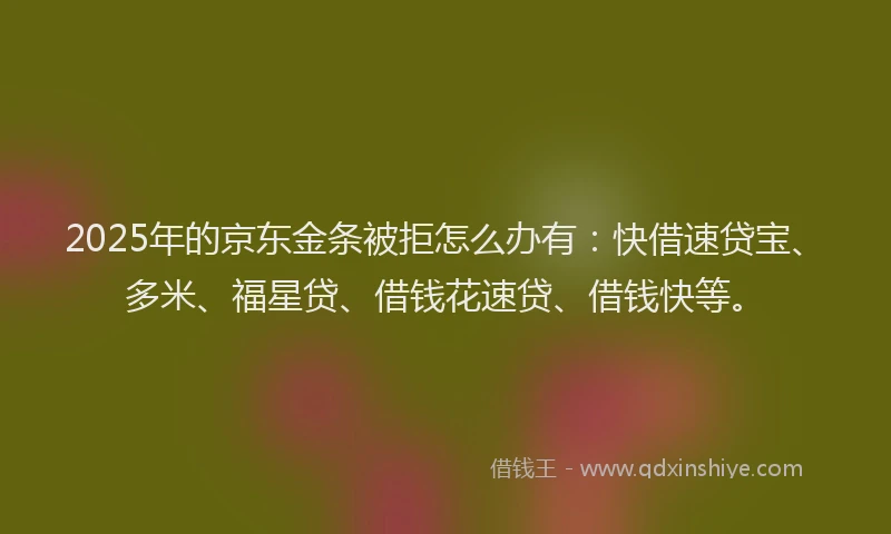 2025年的京东金条被拒怎么办有：快借速贷宝、多米、福星贷、借钱花速贷、借钱快等。
