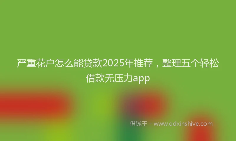 严重花户怎么能贷款2025年推荐，整理五个轻松借款无压力app