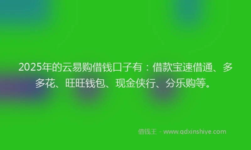2025年的云易购借钱口子有：借款宝速借通、多多花、旺旺钱包、现金侠行、分乐购等。