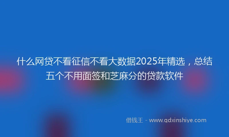 什么网贷不看征信不看大数据2025年精选，总结五个不用面签和芝麻分的贷款软件
