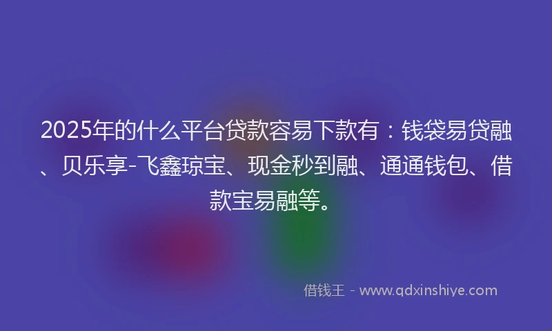 2025年的什么平台贷款容易下款有：钱袋易贷融、贝乐享-飞鑫琼宝、现金秒到融、通通钱包、借款宝易融等。