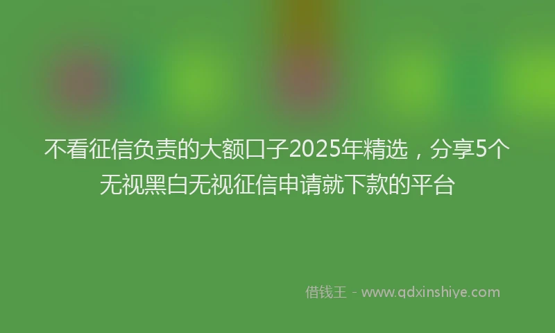 不看征信负责的大额口子2025年精选，分享5个无视黑白无视征信申请就下款的平台