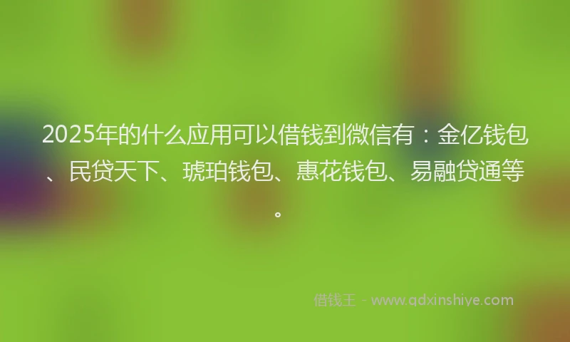 2025年的什么应用可以借钱到微信有：金亿钱包、民贷天下、琥珀钱包、惠花钱包、易融贷通等。