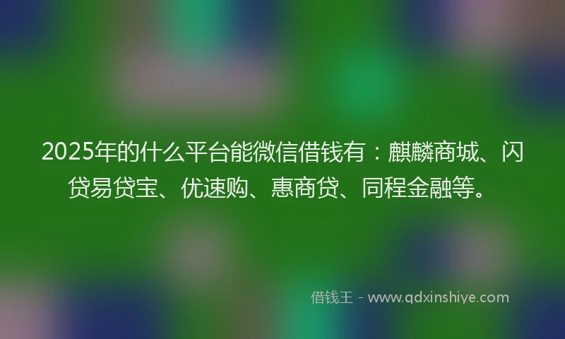 2025年的什么平台能微信借钱有：麒麟商城、闪贷易贷宝、优速购、惠商贷、同程金融等。