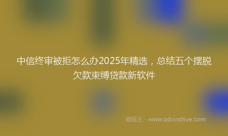 中信终审被拒怎么办2025年精选，总结五个摆脱欠款束缚贷款新软件