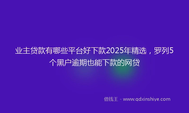 业主贷款有哪些平台好下款2025年精选，罗列5个黑户逾期也能下款的网贷