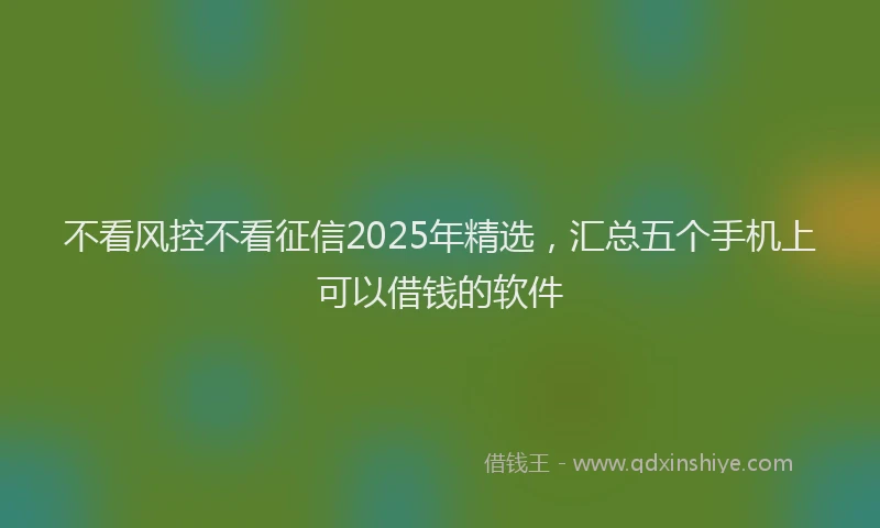 不看风控不看征信2025年精选，汇总五个手机上可以借钱的软件