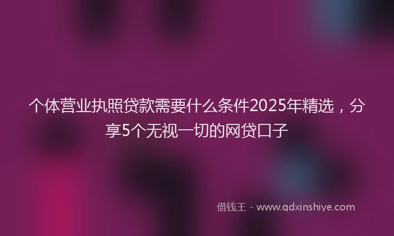 个体营业执照贷款需要什么条件2025年精选，分享5个无视一切的网贷口子