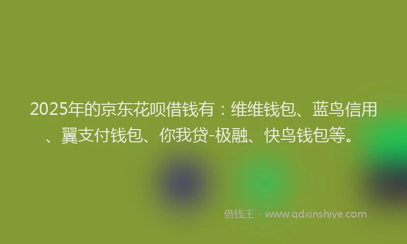 2025年的京东花呗借钱有：维维钱包、蓝鸟信用、翼支付钱包、你我贷-极融、快鸟钱包等。