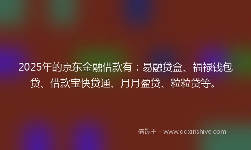 2025年的京东金融借款有：易融贷盒、福禄钱包贷、借款宝快贷通、月月盈贷、粒粒贷等。