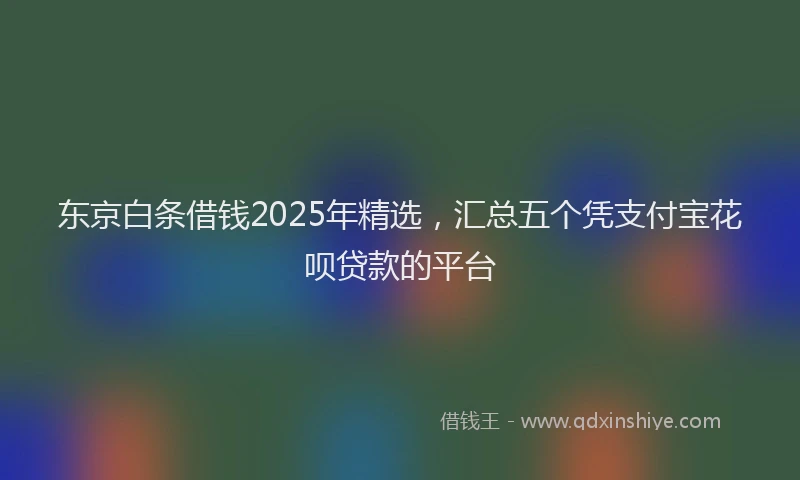 东京白条借钱2025年精选，汇总五个凭支付宝花呗贷款的平台