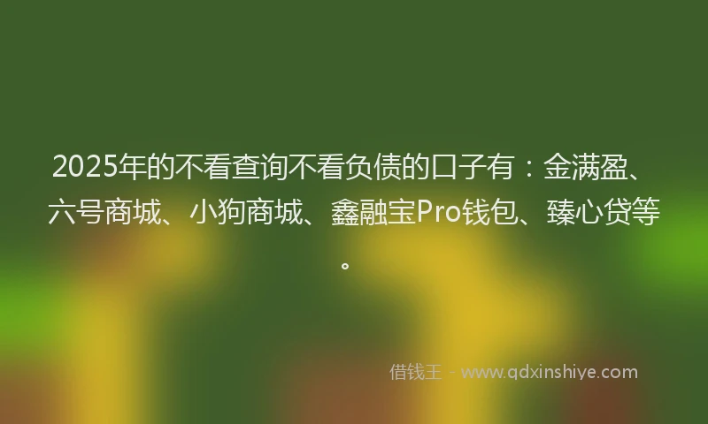 2025年的不看查询不看负债的口子有：金满盈、六号商城、小狗商城、鑫融宝Pro钱包、臻心贷等。