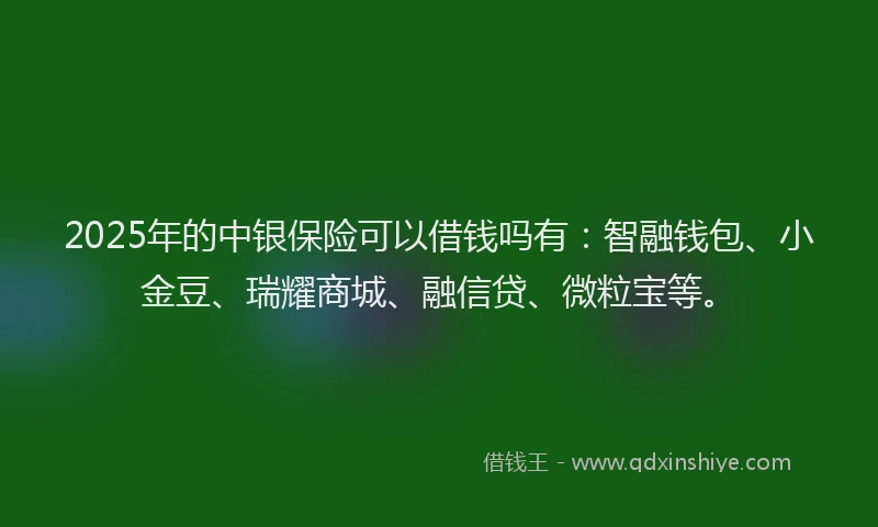 2025年的中银保险可以借钱吗有：智融钱包、小金豆、瑞耀商城、融信贷、微粒宝等。