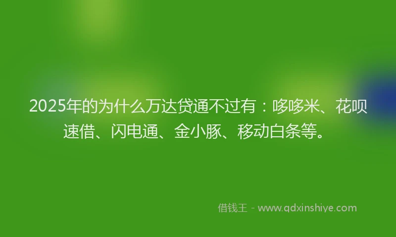 2025年的为什么万达贷通不过有：哆哆米、花呗速借、闪电通、金小豚、移动白条等。