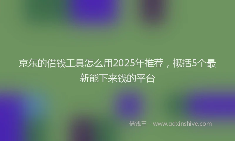京东的借钱工具怎么用2025年推荐，概括5个最新能下来钱的平台