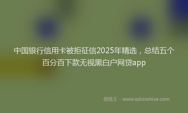 中国银行信用卡被拒征信2025年精选，总结五个百分百下款无视黑白户网贷app