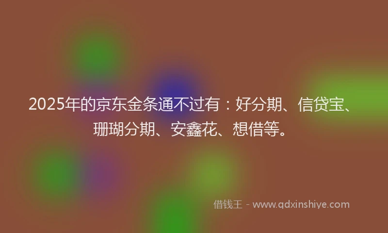 2025年的京东金条通不过有：好分期、信贷宝、珊瑚分期、安鑫花、想借等。