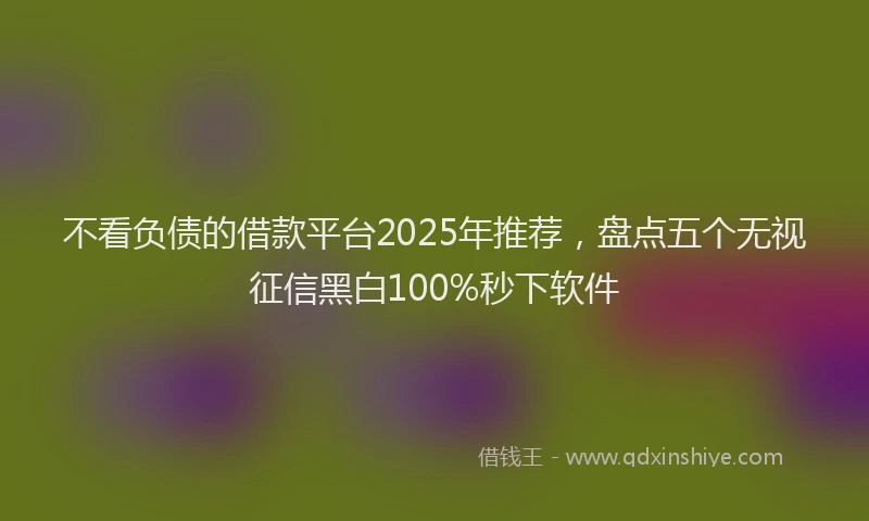 不看负债的借款平台2025年推荐，盘点五个无视征信黑白100%秒下软件
