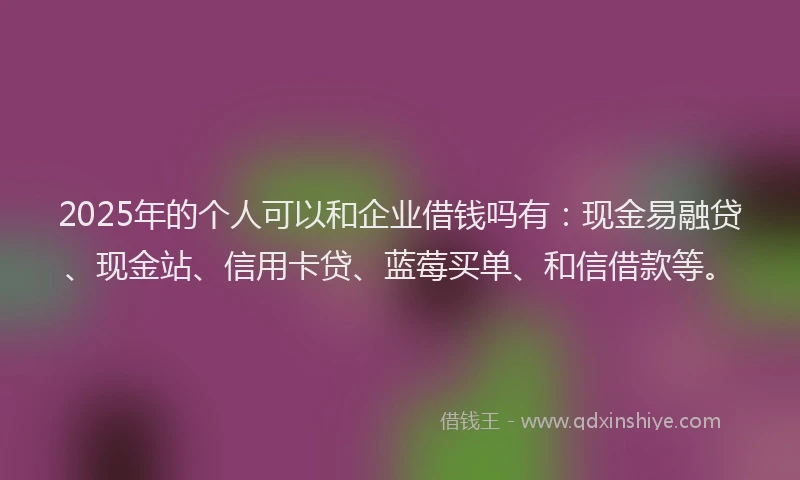 2025年的个人可以和企业借钱吗有：现金易融贷、现金站、信用卡贷、蓝莓买单、和信借款等。