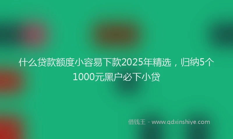 什么贷款额度小容易下款2025年精选，归纳5个1000元黑户必下小贷