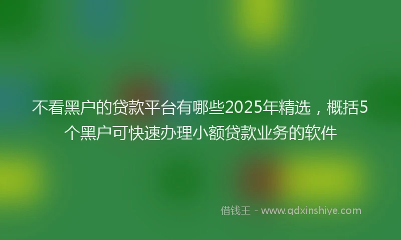 不看黑户的贷款平台有哪些2025年精选，概括5个黑户可快速办理小额贷款业务的软件
