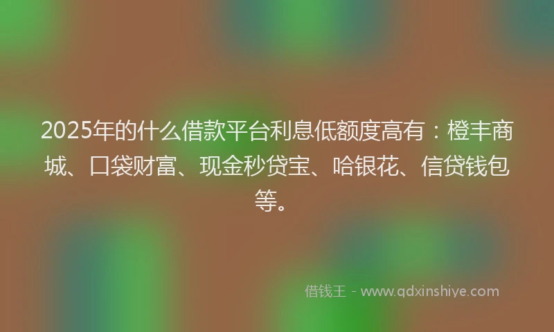 2025年的什么借款平台利息低额度高有：橙丰商城、口袋财富、现金秒贷宝、哈银花、信贷钱包等。