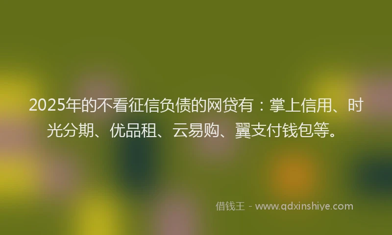 2025年的不看征信负债的网贷有：掌上信用、时光分期、优品租、云易购、翼支付钱包等。