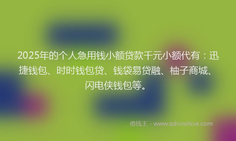 2025年的个人急用钱小额贷款千元小额代有：迅捷钱包、时时钱包贷、钱袋易贷融、柚子商城、闪电侠钱包等。