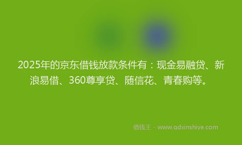 2025年的京东借钱放款条件有：现金易融贷、新浪易借、360尊享贷、随信花、青春购等。