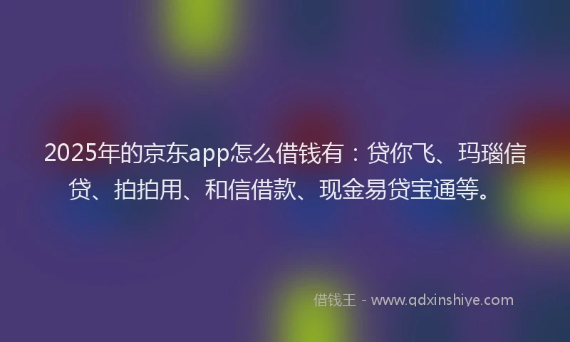2025年的京东app怎么借钱有：贷你飞、玛瑙信贷、拍拍用、和信借款、现金易贷宝通等。