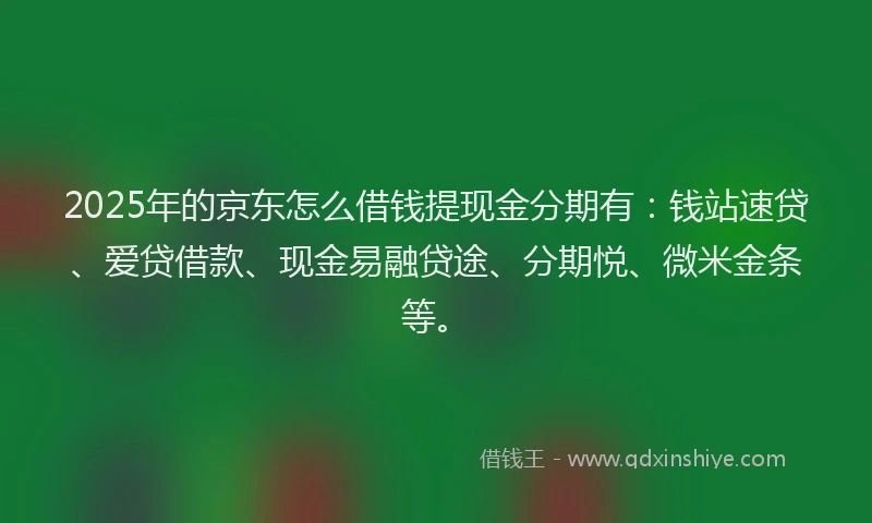 2025年的京东怎么借钱提现金分期有：钱站速贷、爱贷借款、现金易融贷途、分期悦、微米金条等。