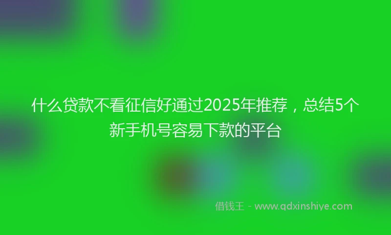 什么贷款不看征信好通过2025年推荐，总结5个新手机号容易下款的平台