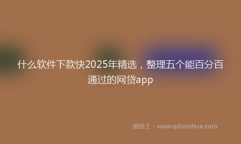 什么软件下款快2025年精选，整理五个能百分百通过的网贷app
