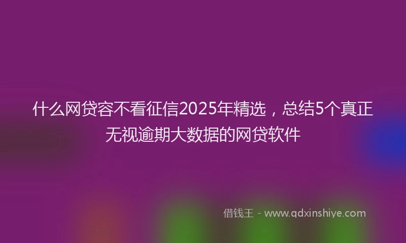 什么网贷容不看征信2025年精选，总结5个真正无视逾期大数据的网贷软件