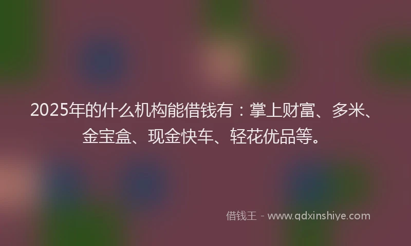 2025年的什么机构能借钱有：掌上财富、多米、金宝盒、现金快车、轻花优品等。
