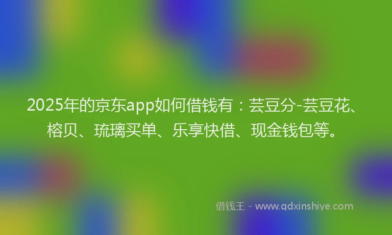 2025年的京东app如何借钱有：芸豆分-芸豆花、榕贝、琉璃买单、乐享快借、现金钱包等。