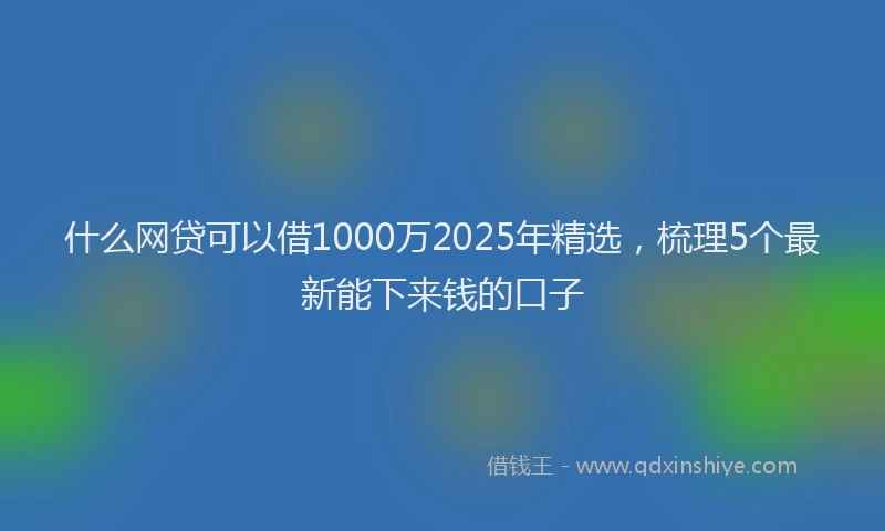 什么网贷可以借1000万2025年精选，梳理5个最新能下来钱的口子