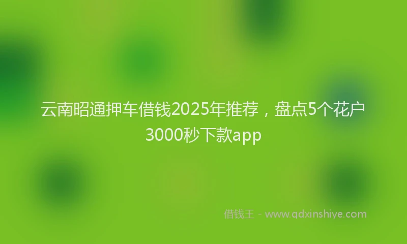 云南昭通押车借钱2025年推荐，盘点5个花户3000秒下款app