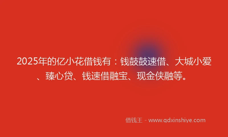 2025年的亿小花借钱有：钱鼓鼓速借、大城小爱、臻心贷、钱速借融宝、现金侠融等。