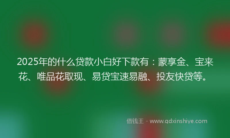 2025年的什么贷款小白好下款有：蒙享金、宝来花、唯品花取现、易贷宝速易融、投友快贷等。