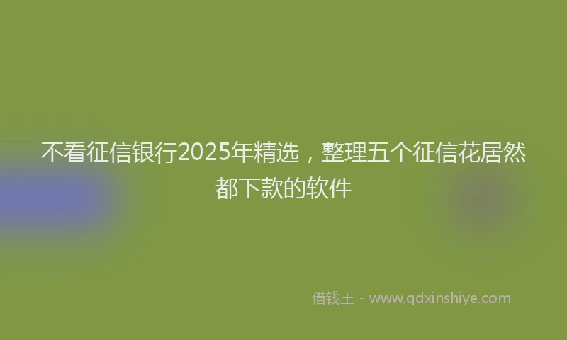 不看征信银行2025年精选，整理五个征信花居然都下款的软件