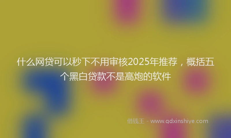 什么网贷可以秒下不用审核2025年推荐，概括五个黑白贷款不是高炮的软件