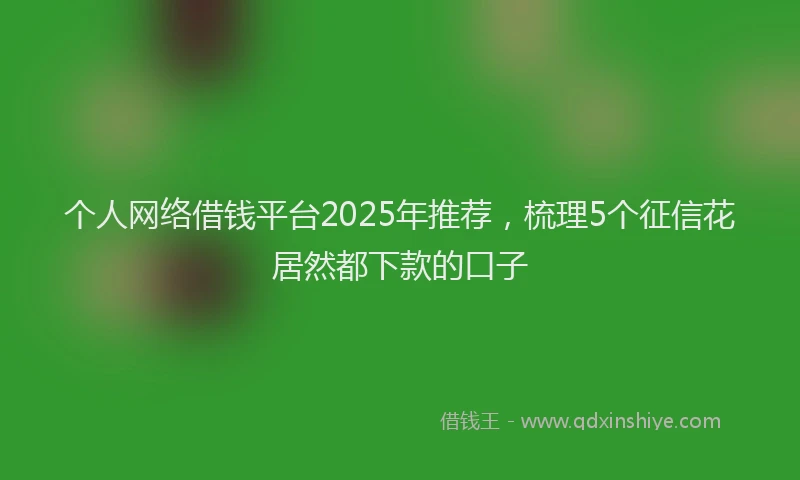 个人网络借钱平台2025年推荐，梳理5个征信花居然都下款的口子