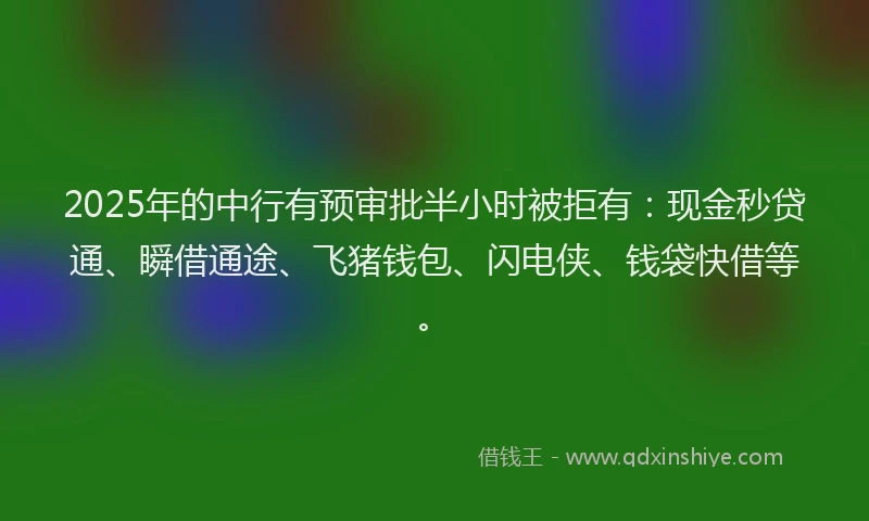 2025年的中行有预审批半小时被拒有：现金秒贷通、瞬借通途、飞猪钱包、闪电侠、钱袋快借等。