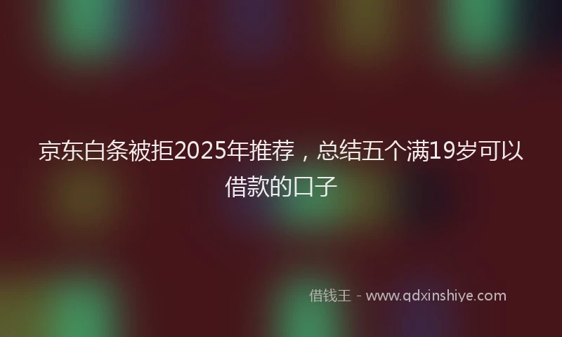 京东白条被拒2025年推荐，总结五个满19岁可以借款的口子