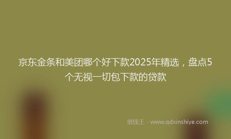 京东金条和美团哪个好下款2025年精选，盘点5个无视一切包下款的贷款