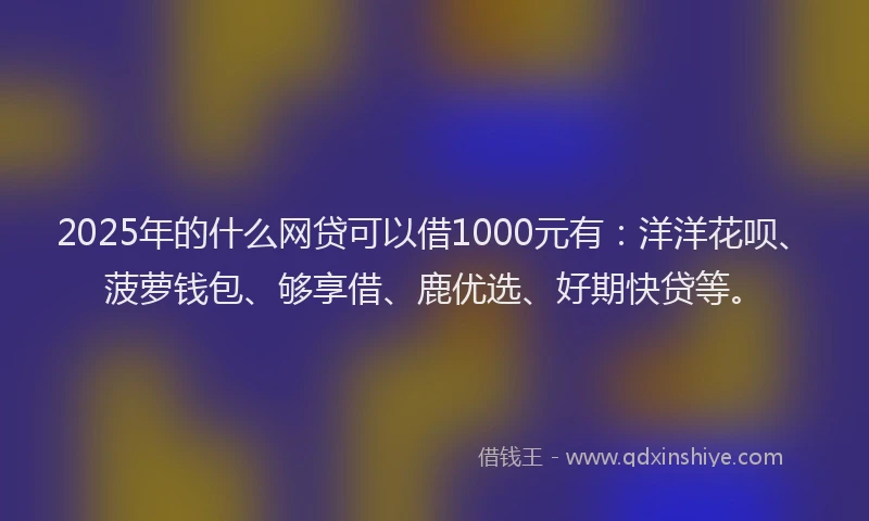 2025年的什么网贷可以借1000元有：洋洋花呗、菠萝钱包、够享借、鹿优选、好期快贷等。