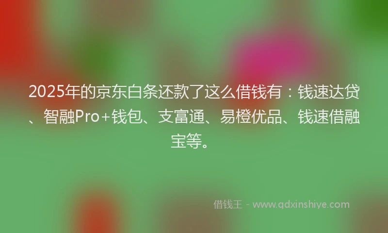 2025年的京东白条还款了这么借钱有：钱速达贷、智融Pro+钱包、支富通、易橙优品、钱速借融宝等。