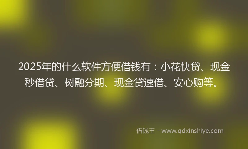 2025年的什么软件方便借钱有：小花快贷、现金秒借贷、树融分期、现金贷速借、安心购等。