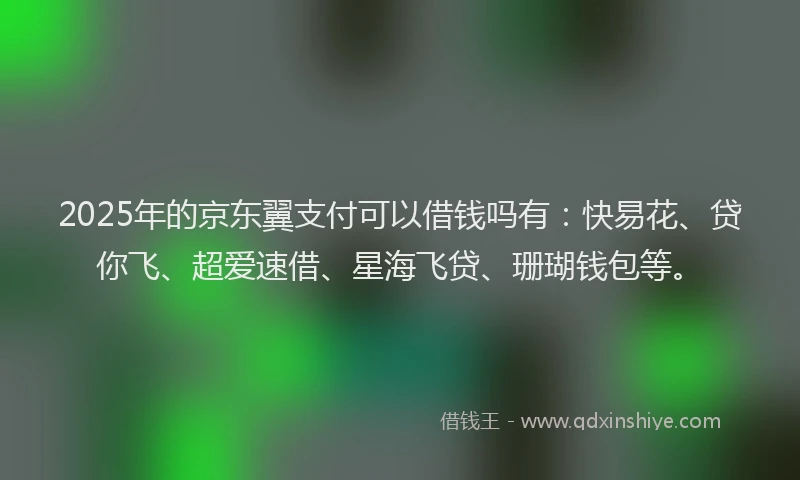 2025年的京东翼支付可以借钱吗有：快易花、贷你飞、超爱速借、星海飞贷、珊瑚钱包等。